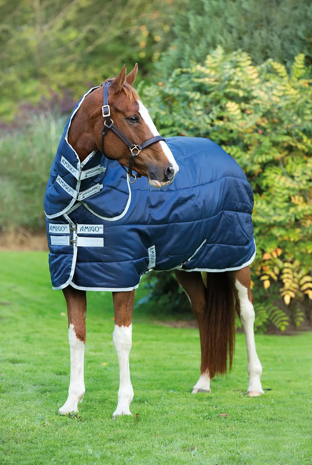 Amigo Insulator Plus Horse Stable Blanket with 200 gram fill