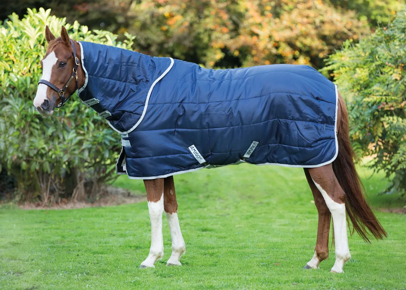 Amigo Insulator Plus Horse Stable Blanket with 200 gram fill