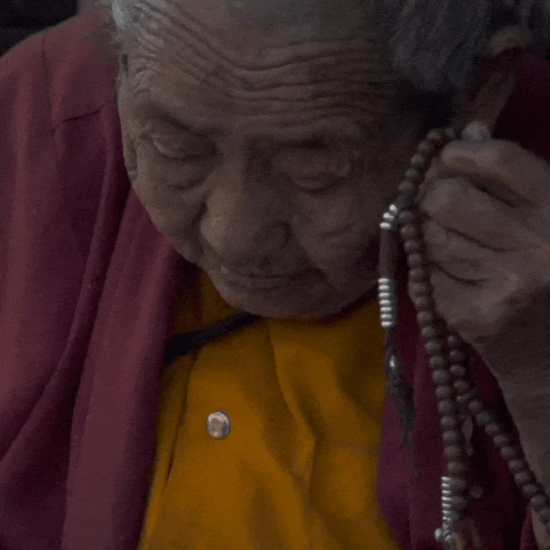 Authentic Bodhi Monk's Mala