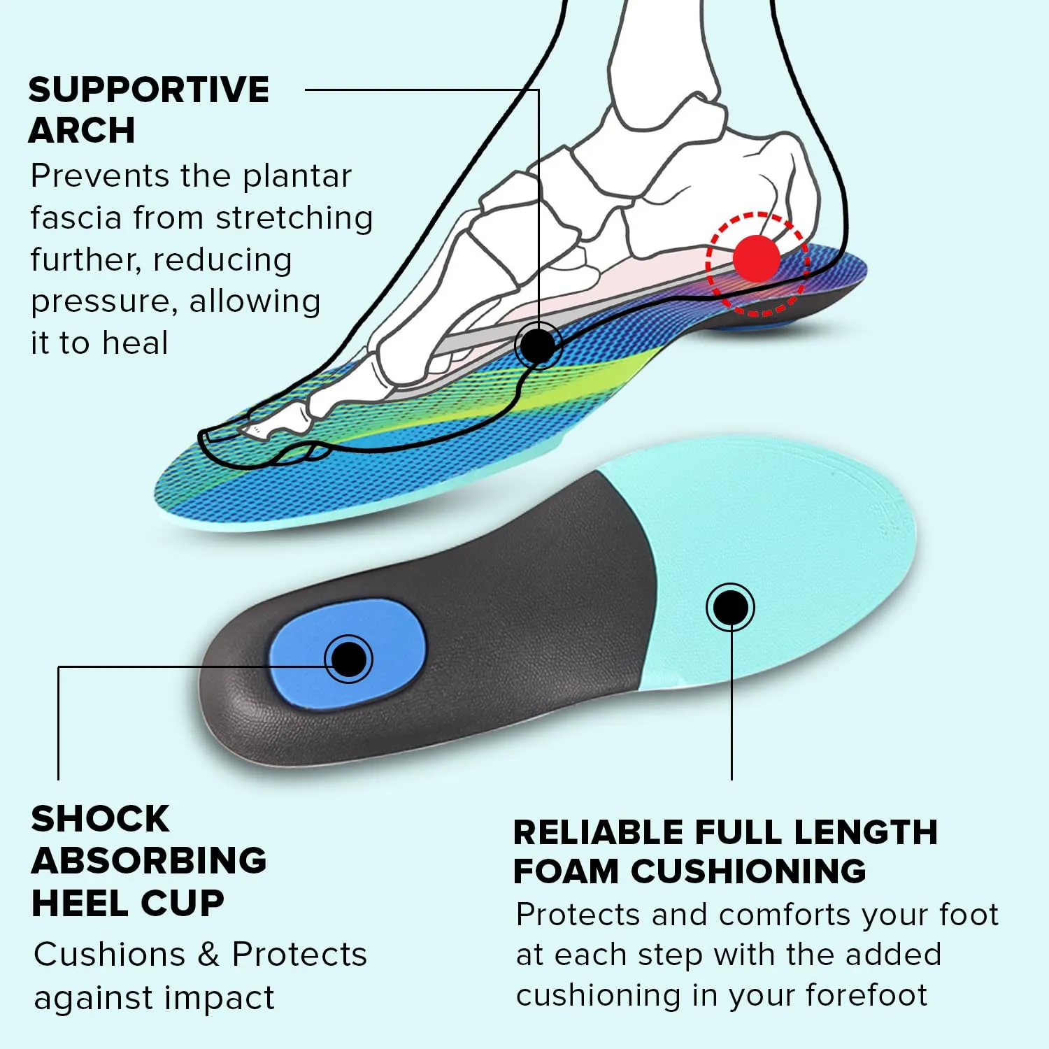 Dr Foot Orthotics | Relieve From Plantar Fasciitis, Flat Feet, Foot Pain, High Arch | Light & Slim| Comfort With Shock Absorption |Improve Foot Support for Men and Women -1 Pair (Large Size)