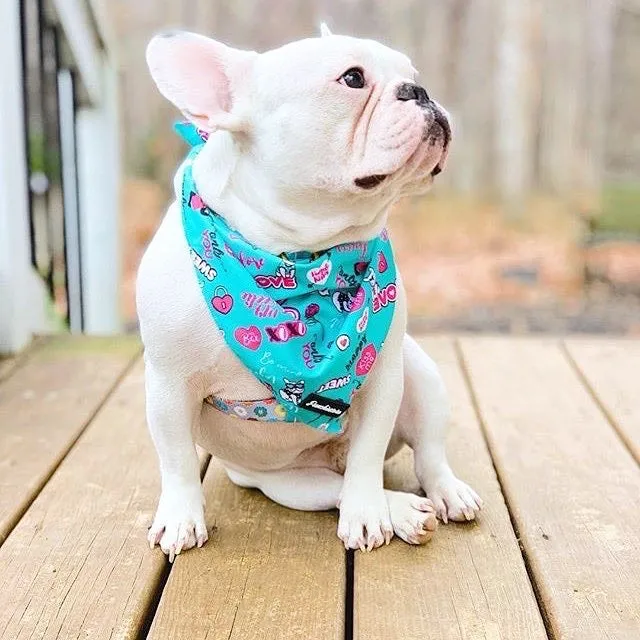 Frenchiestore Dog Cooling Bandana | Frenchie Love