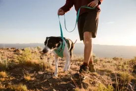 Front Range Ruffwear Dog Leash