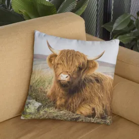 Highland Calf Cushion