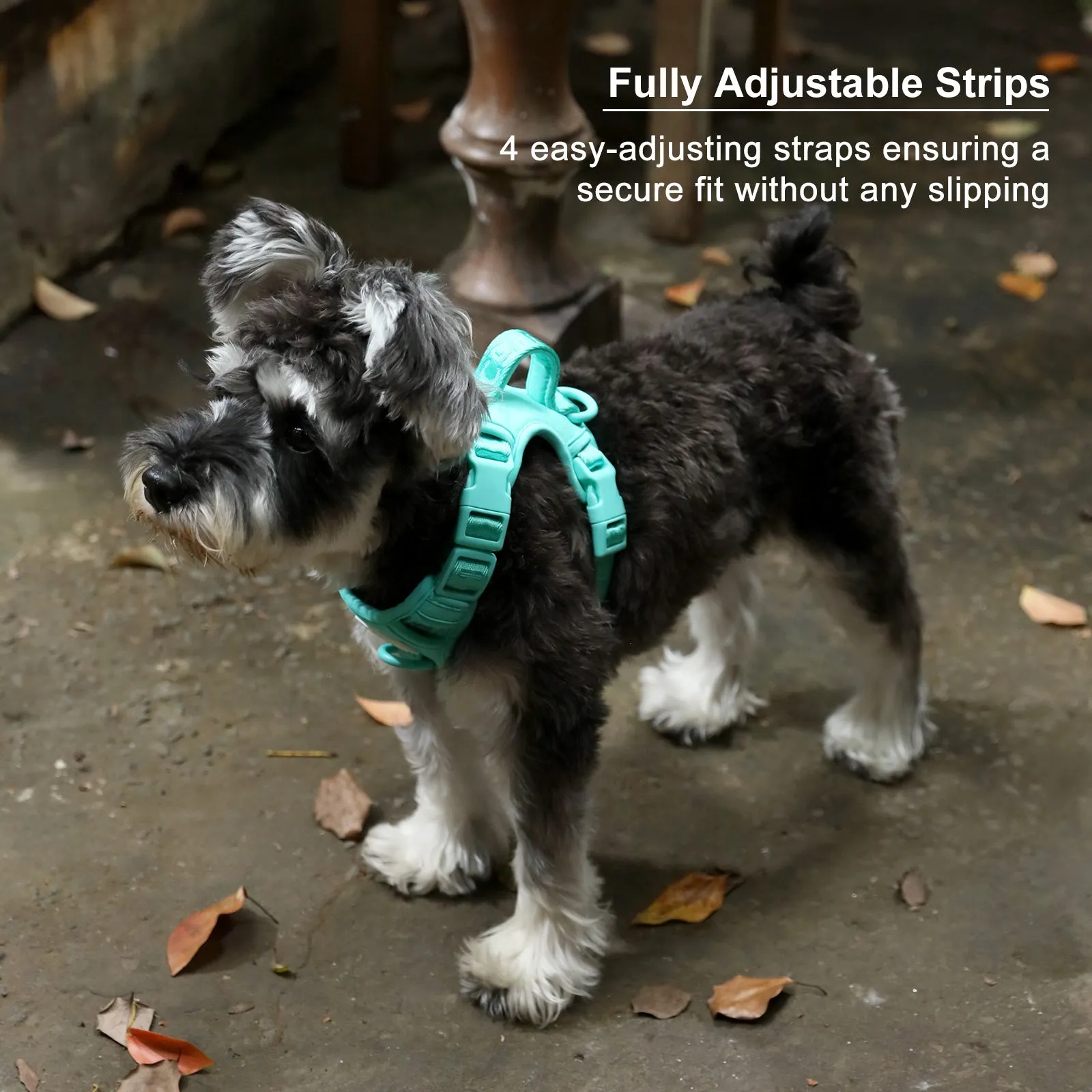 NO PULL ACTIVE  PET HARNESS - MINT GREEN