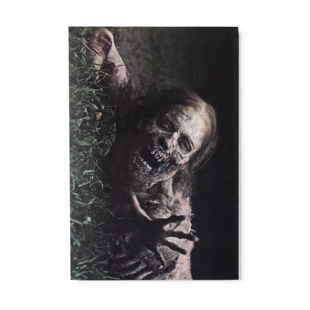 The Walking Dead Exclusive Greeting Cards Set of 4