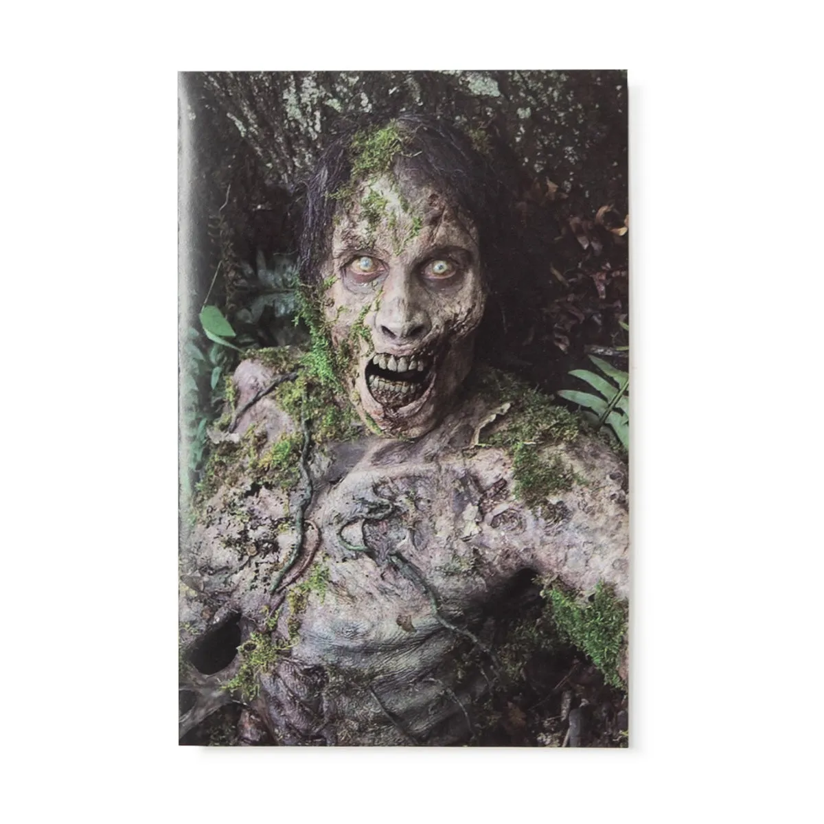 The Walking Dead Exclusive Greeting Cards Set of 4