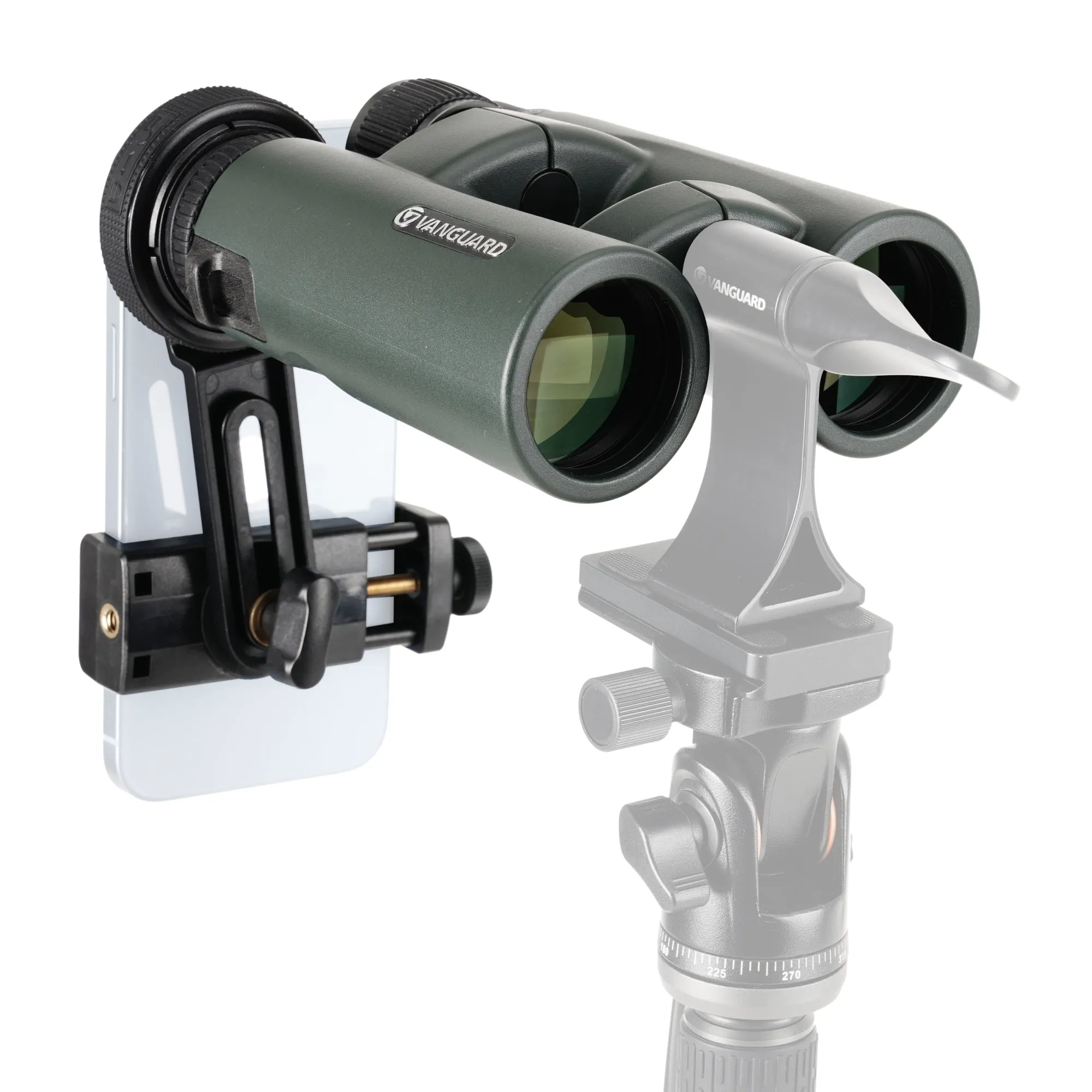 VEO HD2 8420 8x42 HOYA ED Glass Binocular BUNDLE w/ LIFETIME WARRANTY