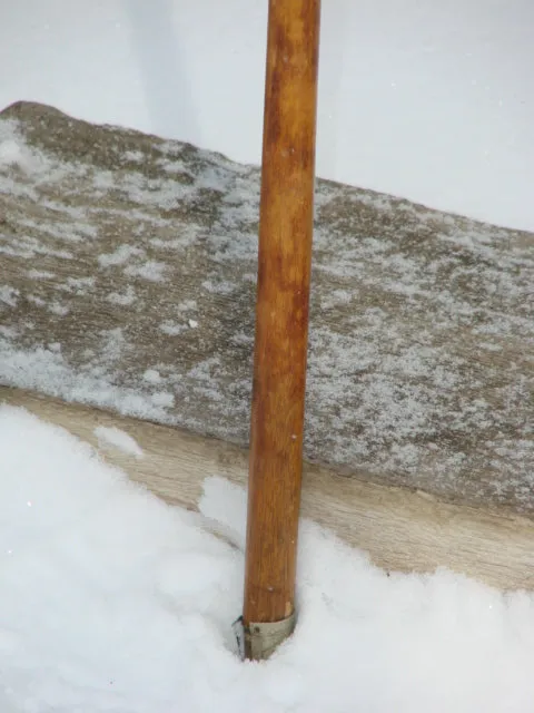 Vintage German Walking Stick