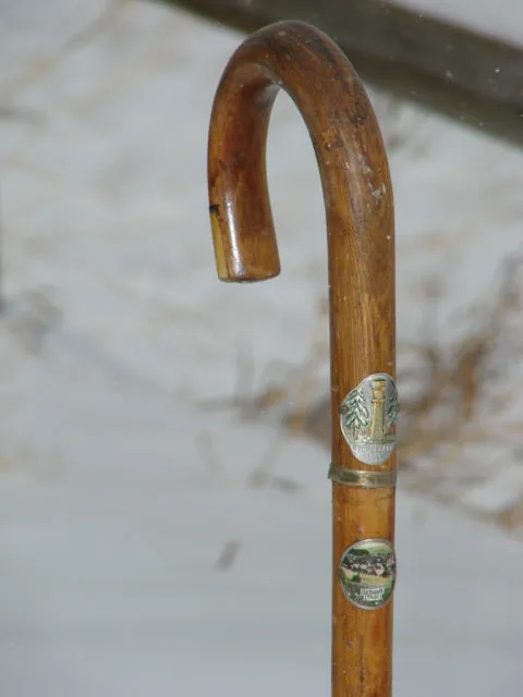 Vintage German Walking Stick